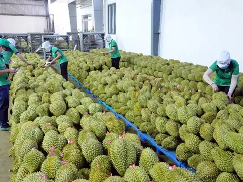 Việt Nam thuộc TOP 30 nước tăng trưởng thương mại cao nhất