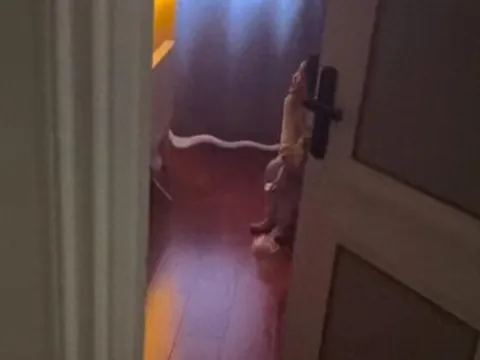 Nửa đêm con gái lén vào phòng bố mẹ rồi ngồi im một góc, hành động của đứa trẻ sau đó khiến ai cũng khen