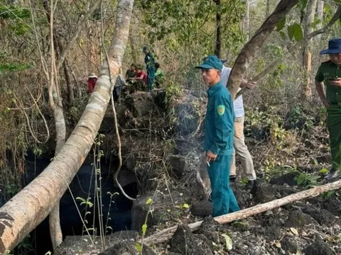 Diễn biến bất ngờ vụ thi thể nam giới trong hang động núi lửa ở Đắk Nông