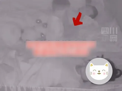 Bố mẹ cãi nhau, camera ghi lại việc làm của con trai 2 tuổi vào sáng hôm sau khiến tất cả òa khóc