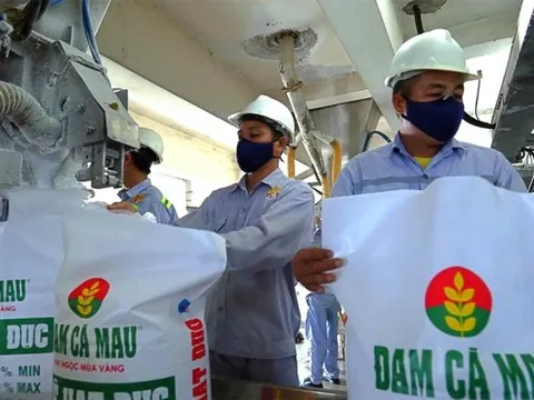 Nhân viên 1 công ty phân bón thu nhập vượt xa người làm ngân hàng