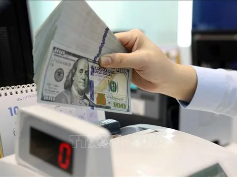 Tỷ giá hôm nay 31/3: Giá USD và NDT ít biến động