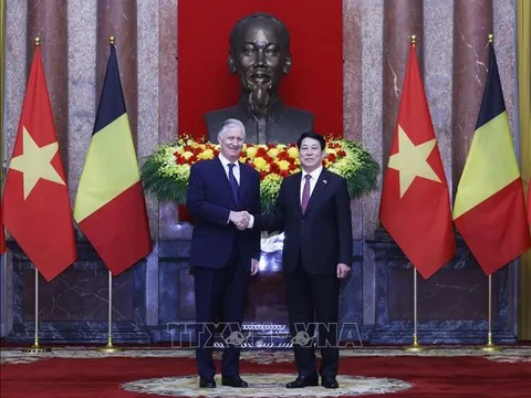 Chủ tịch nước Lương Cường và Nhà Vua Bỉ Philippe hội kiến