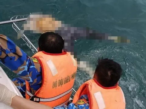 Nhận dạng thi thể đang phân hủy, nghi vấn liên quan vụ chìm tàu ở Nghệ An