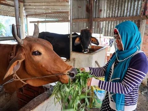 Hơn 120.000 lượt hộ nghèo tiếp cận kịp thời vốn chính sách