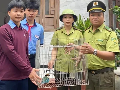 Trên đường đi học, nam sinh lớp 9 phát hiện con vật quý hiếm trong sách Đỏ