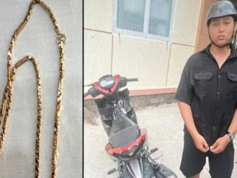 Thông tin mới vụ xịt hơi cay, cướp tiệm vàng ở Bến Tre