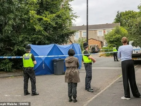 Người đàn ông tử vong thương tâm vì bị chó của anh trai tấn công