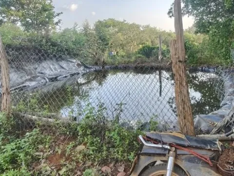 Hai anh em ruột tử vong thương tâm trong ao nước tưới cà phê