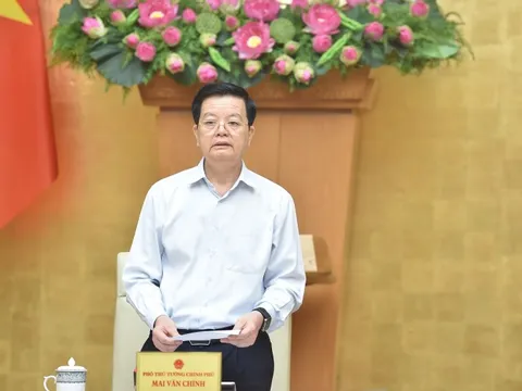 Hoàn thiện và sớm trình dự thảo Nghị định quy định Cơ sở dữ liệu về phòng, chống bạo lực gia đình