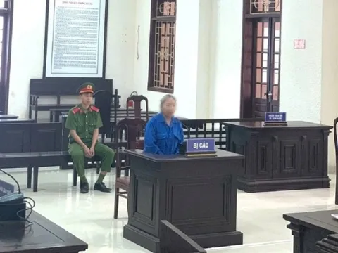 Hé lộ nguồn cơn vụ đầu độc mẹ kế ở Quảng Trị
