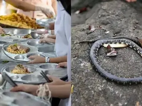 Ấn Độ: Phát hiện rắn chết trong nồi thức ăn ở trường học, hàng loạt trẻ nhập viện