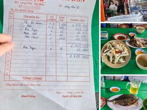 Chủ bè nổi nói gì khi bị tố bán cá bò hòm 3,5 triệu đồng/kg?