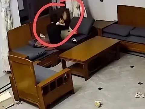 Bé gái 3 tuổi bị ông bà nội đánh liên tiếp, mẹ bất lực còn bố thờ ơ