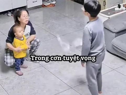 Cậu bé tức giận vì bị em gái xé nát bài kiểm tra, mẹ ra sức bênh em, hành xử ngược lại của bố đáng học hỏi