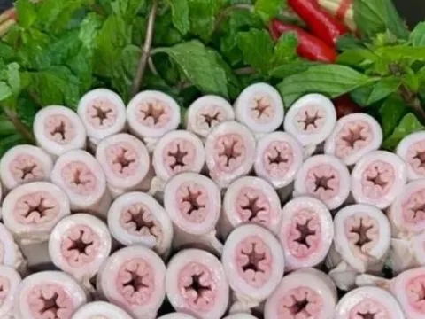 Sẽ kiểm tra, truy xuất nguồn gốc cơ sở "khoe" cỗ lòng se điếu dài 40m, làm rõ nghi vấn "phù phép", ngâm hóa chất