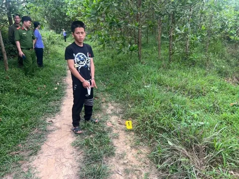 Người phụ nữ thu mua sắt vụn bị "dụ" vào rừng keo, xâm hại: Lộ diện nghi phạm