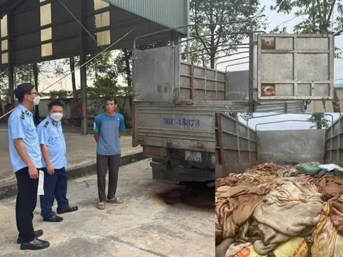 Bắt giữ gần 5 tấn da trâu, bò không rõ nguồn gốc xuất xứ