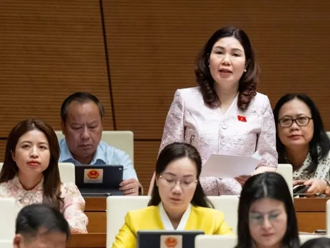 "Kẽ hở" nào khiến gần 600 loại sữa giả tuồn ra thị trường?