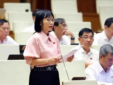 Sữa giả, thuốc giả và trách nhiệm từ quản lý đến đạo đức doanh nghiệp