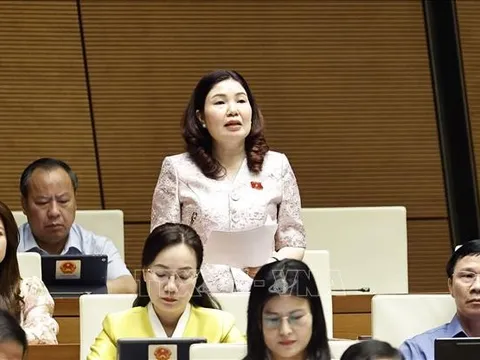 Kiến nghị bãi bỏ quy định về công bố hợp quy sản phẩm, hàng hóa