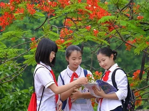 Thủ tướng chỉ đạo 3 vấn đề nóng trong giáo dục