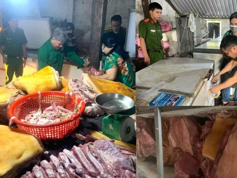 Rùng mình gần 800kg thịt heo ôi thiu, nhiễm dịch tả lợn châu Phi có mặt tại cơ sở sơ chế trái phép