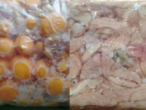 800kg trứng gà non, tràng gà đông lạnh không rõ nguồn gốc trong thùng xốp ở Hà Nội