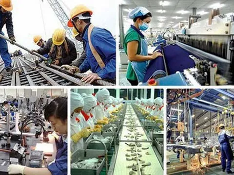 Gỡ vướng trong thực hiện chuyển đổi sở hữu, sắp xếp lại doanh nghiệp nhà nước