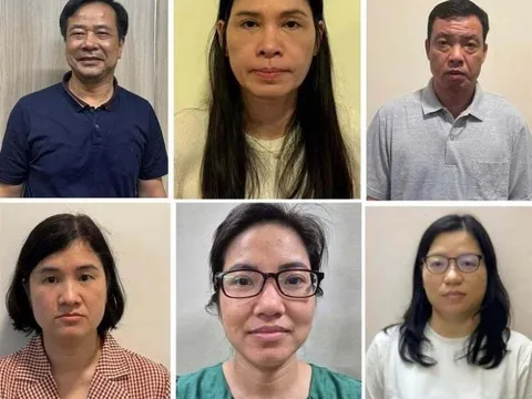 Lý do khiến Chủ tịch kiêm Tổng Giám đốc Công ty Hoàng Long bị khởi tố