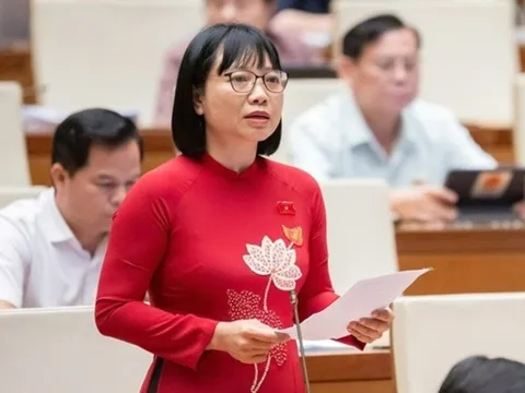 Đại biểu Quốc "hiến kế" bịt kẽ hở hậu kiểm ngăn chặn "công ty ma"