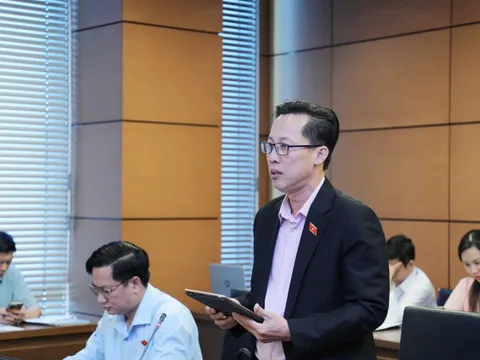 ĐBQH đề nghị tăng mạnh chế tài hình sự, xử nặng tội sản xuất, buôn bán hàng giả