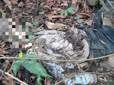 Phát hiện thi thể phân hủy gần hết dưới vực đèo Bảo Lộc: Nhận định ban đầu