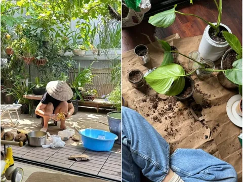 Trồng 40 chậu cây, nuôi 7 con mèo, đi làm chỉ để nhận hàng shipper là tự “đào hố” chôn mình?