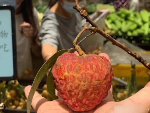 Con dâu nổi giận vì mẹ chồng ăn hết 3 quả vải thiều của cháu, biết giá tiền bà nội nghẹn họng