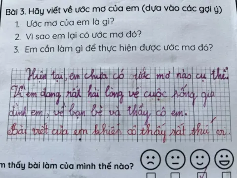 Viết văn nói về ước mơ, bé tiểu học chỉ viết 2 câu đã khiến cô giáo khen “rất thú vị”, dân tình nể phục