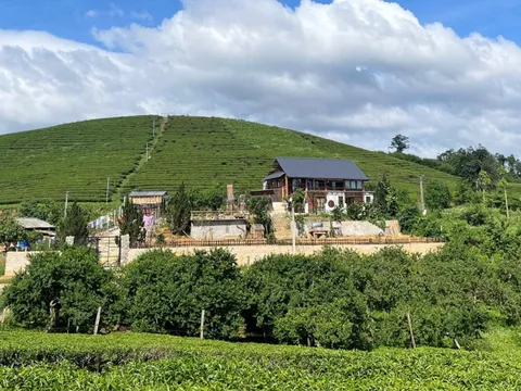 Bỏ phố về cao nguyên, cặp vợ chồng trẻ chi 2 tỷ đồng xây ngôi nhà gỗ đẹp như tranh giữa đồi chè xanh ngát