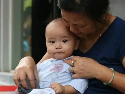 Con rể có lòng tặng mẹ vợ chuyến du lịch hè 50 triệu, đêm đầu tiên đi chơi nhận tin nhắn từ con, bà tái mặt