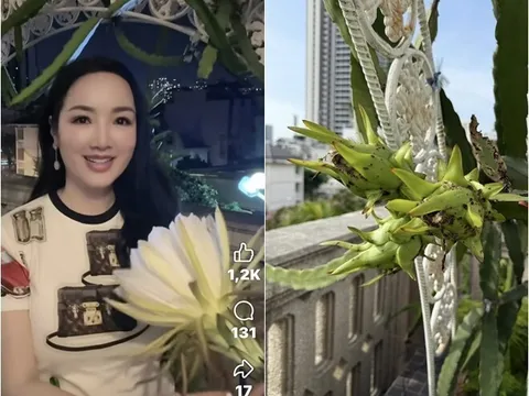"Hoa hậu độc nhất vô nhị Việt Nam" mát tay trồng quả ngọt trên sân thượng "lâu đài trắng" 1.000m2