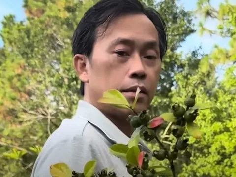 Em trai ruột hé lộ khu vườn rộng nhà Hoài Linh bên Mỹ, có cây ổi lạ và nhiều cây trái Việt Nam