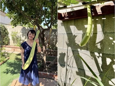 Danh ca Hương Lan có giàn bầu được nhiều nghệ sĩ đến thăm, yên ấm cùng chồng kỹ sư trong nhà vườn 1.000m2