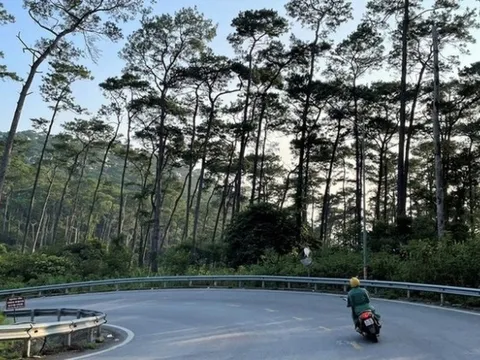 2 cô gái trẻ "đổ đèo" Tam Đảo lúc nửa đêm bị chặn đường, xâm hại tình dục: Thủ đoạn kinh hãi của 3 nghi phạm