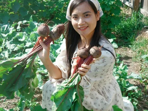 Mẹ đảm mát tay làm vườn ở Mỹ, phải xách cả cuốc từ Việt Nam sang, rau nào cũng xanh tươi tốt