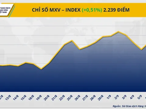 THỊ TRƯỜNG HÀNG HÓA: Nối dài chuỗi tăng