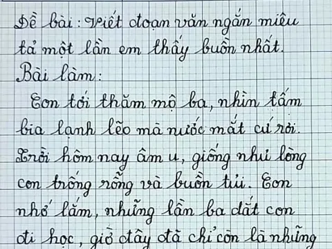 Bài văn vỏn vẹn 4 câu viết về bố nhận điểm 9, lời phê của thầy giáo dành cho bé học sinh gây xúc động