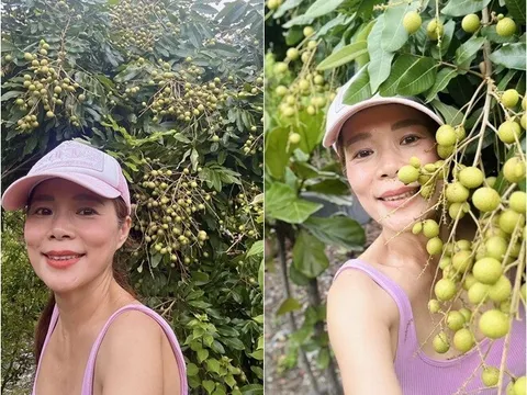 "Phú bà" showbiz Việt khoe nông sản đã mắt trong khu vườn 10.000m2, có giống gà hàng triệu đồng/con