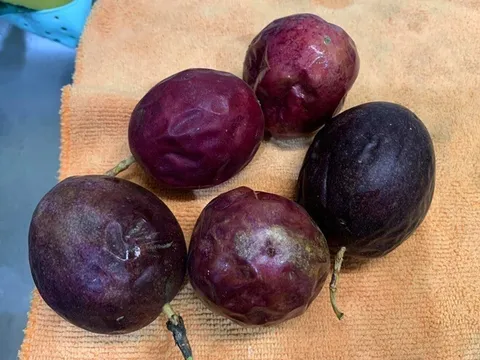 Con khen cơm trưa ở trường rất ngon nhưng ngày nào cũng mang về một thứ, mẹ tức giận tới gặp hiệu trưởng