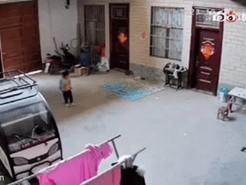 Vừa lên thành phố đi làm, mẹ trẻ lập tức lái xe 10 tiếng trở về nhà khi chứng kiến đoạn video của con gái