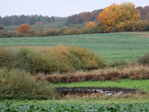 Phát hiện thi thể bé trai 8 tuổi bên bờ ao, người mẹ tiết lộ "linh cảm không lành"