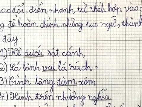 Cô giáo yêu cầu điền thành ngữ "lá lành..., tình làng...", loạt đáp án học sinh đưa ra khiến phụ huynh đỏ mặt
